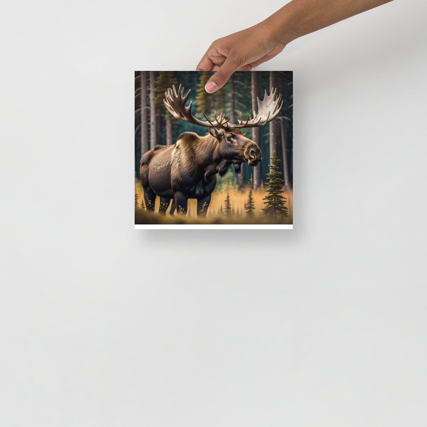 Moose Poster