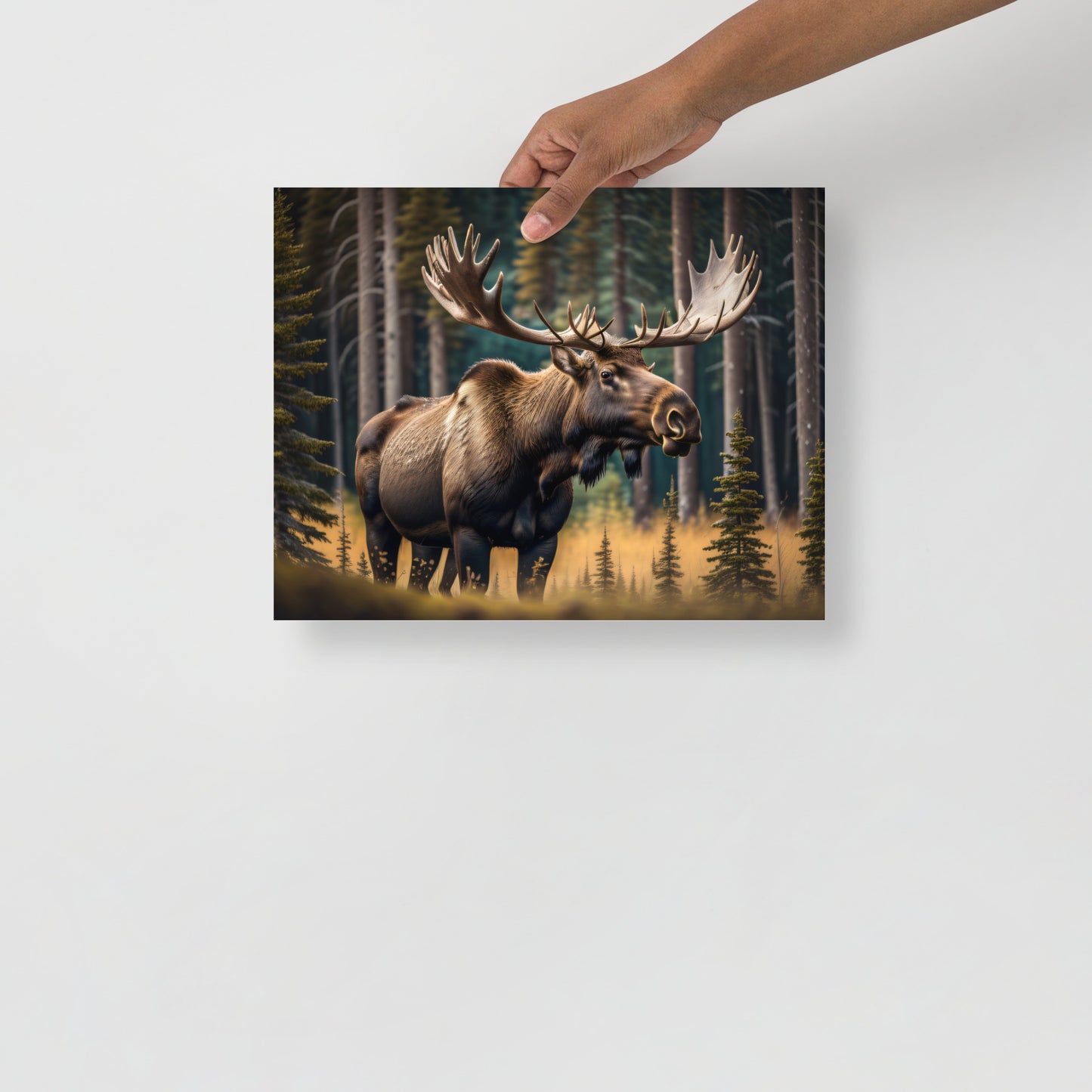 Moose Poster