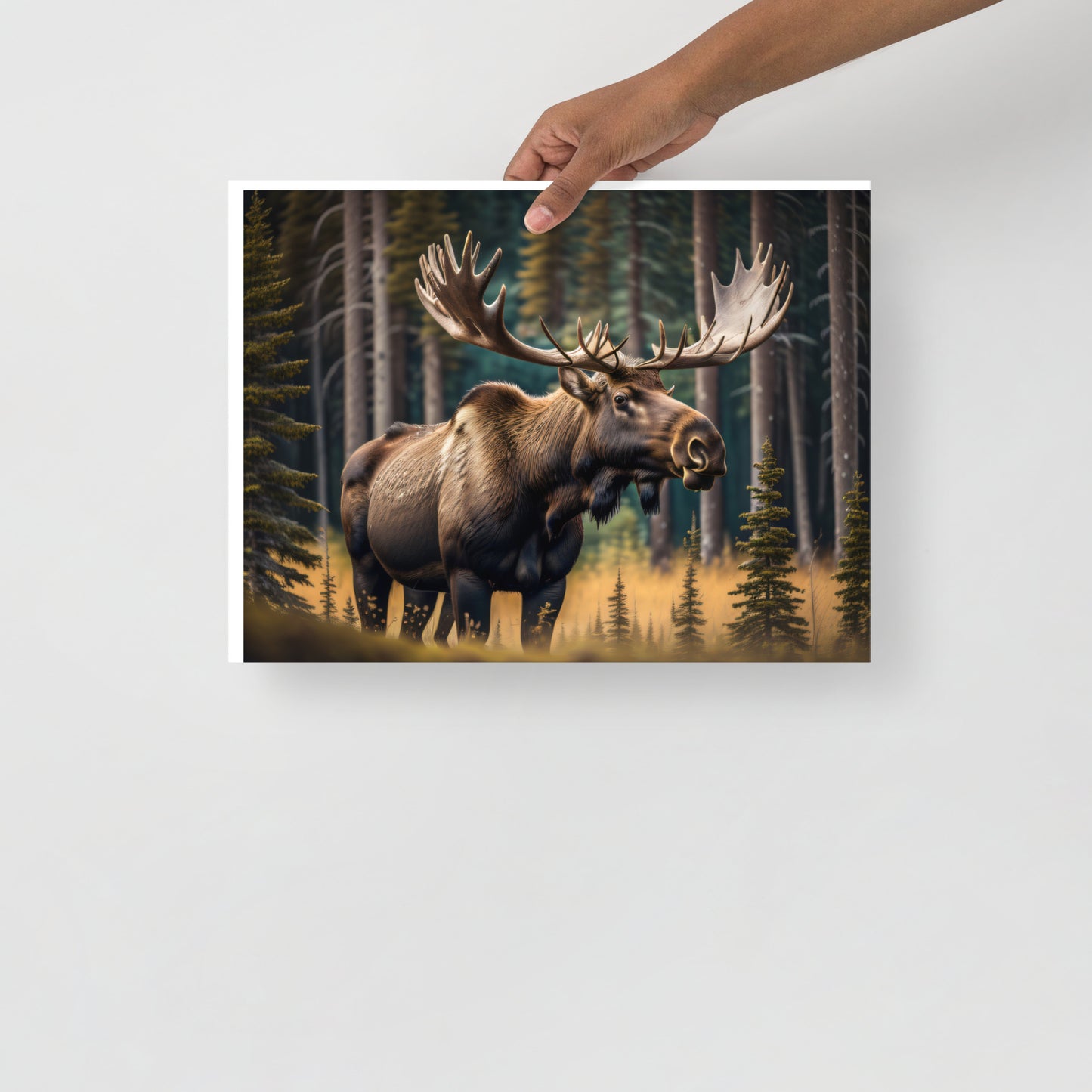 Moose Poster