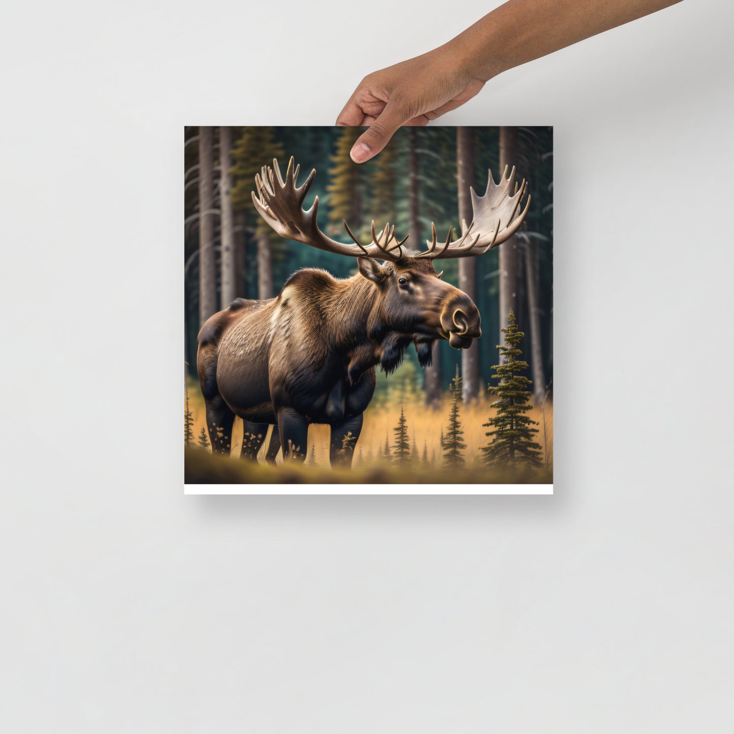 Moose Poster