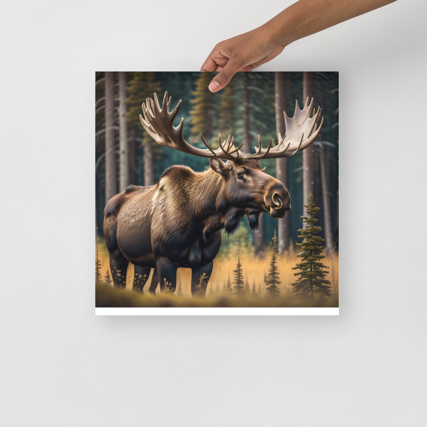 Moose Poster