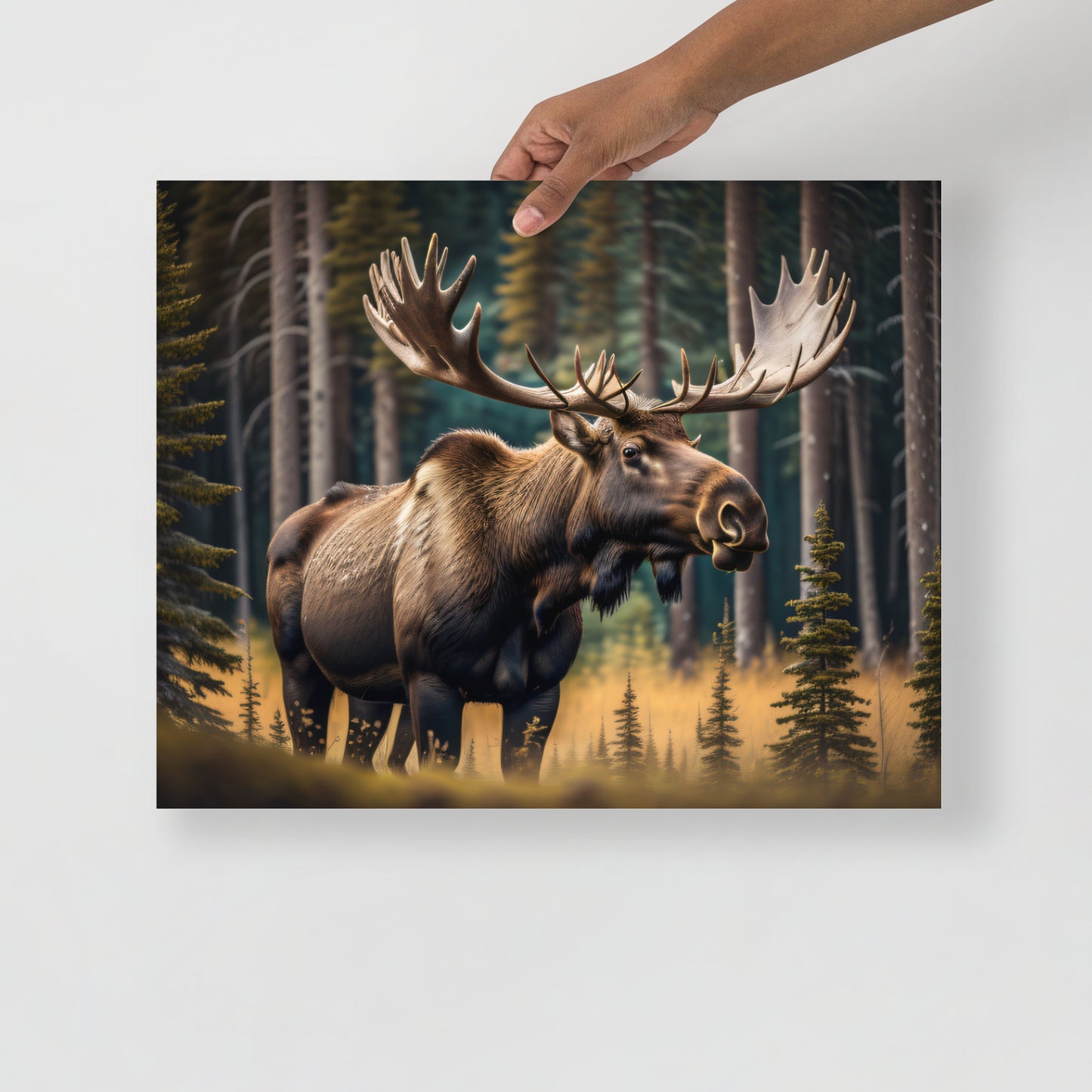 Moose Poster