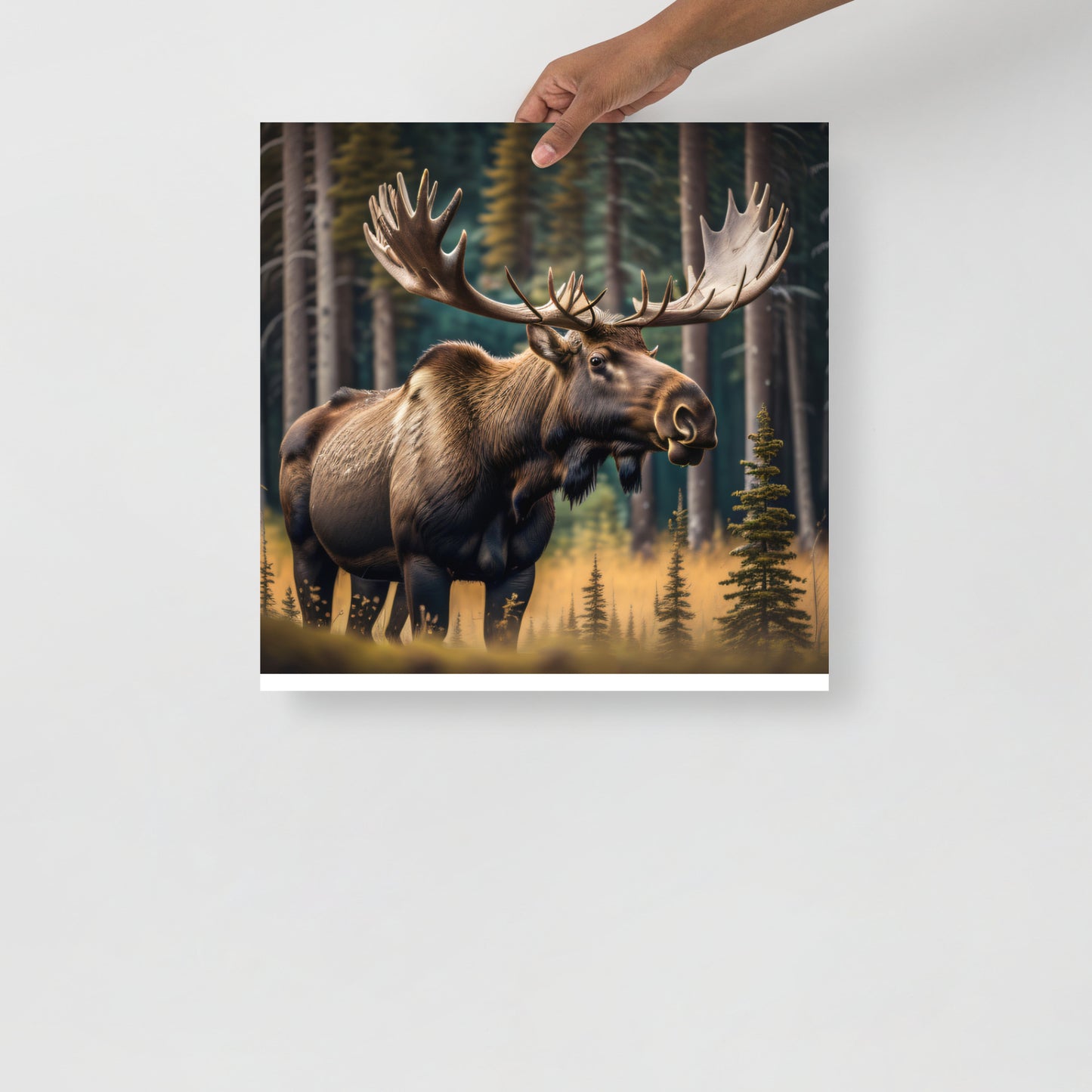 Moose Poster